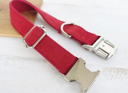 Pet Traction Dog Collar