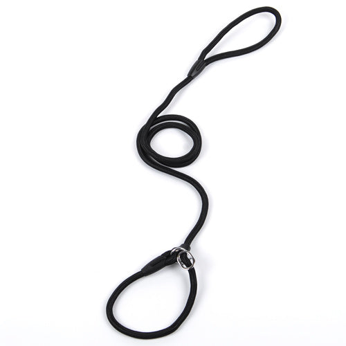 Dog leash dog leash pet leash - Pooch2Spoil