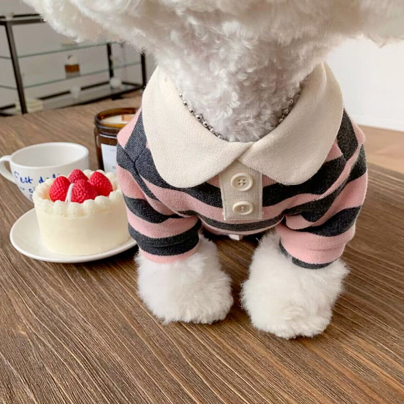 Pomeranian Poodle Small Dog Clothing