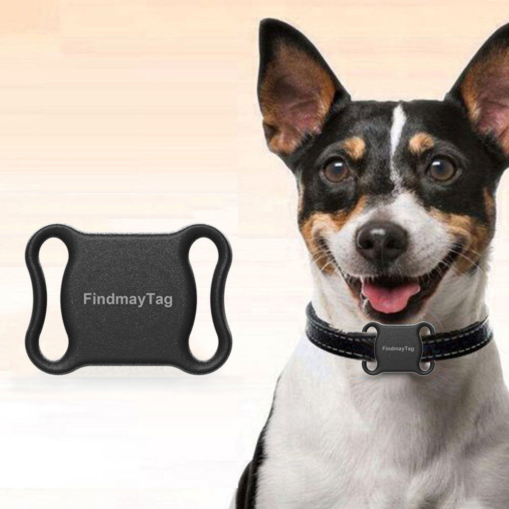 Smart Dog GPS Locator