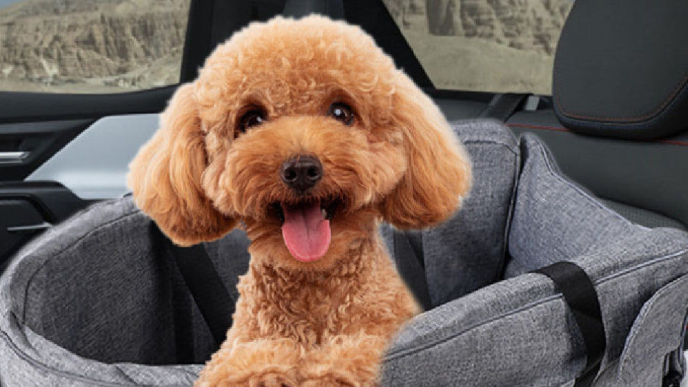 Dog Car Booster Seat