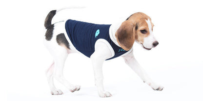 Pet Clothing Dog Vest Two-legged Clothing