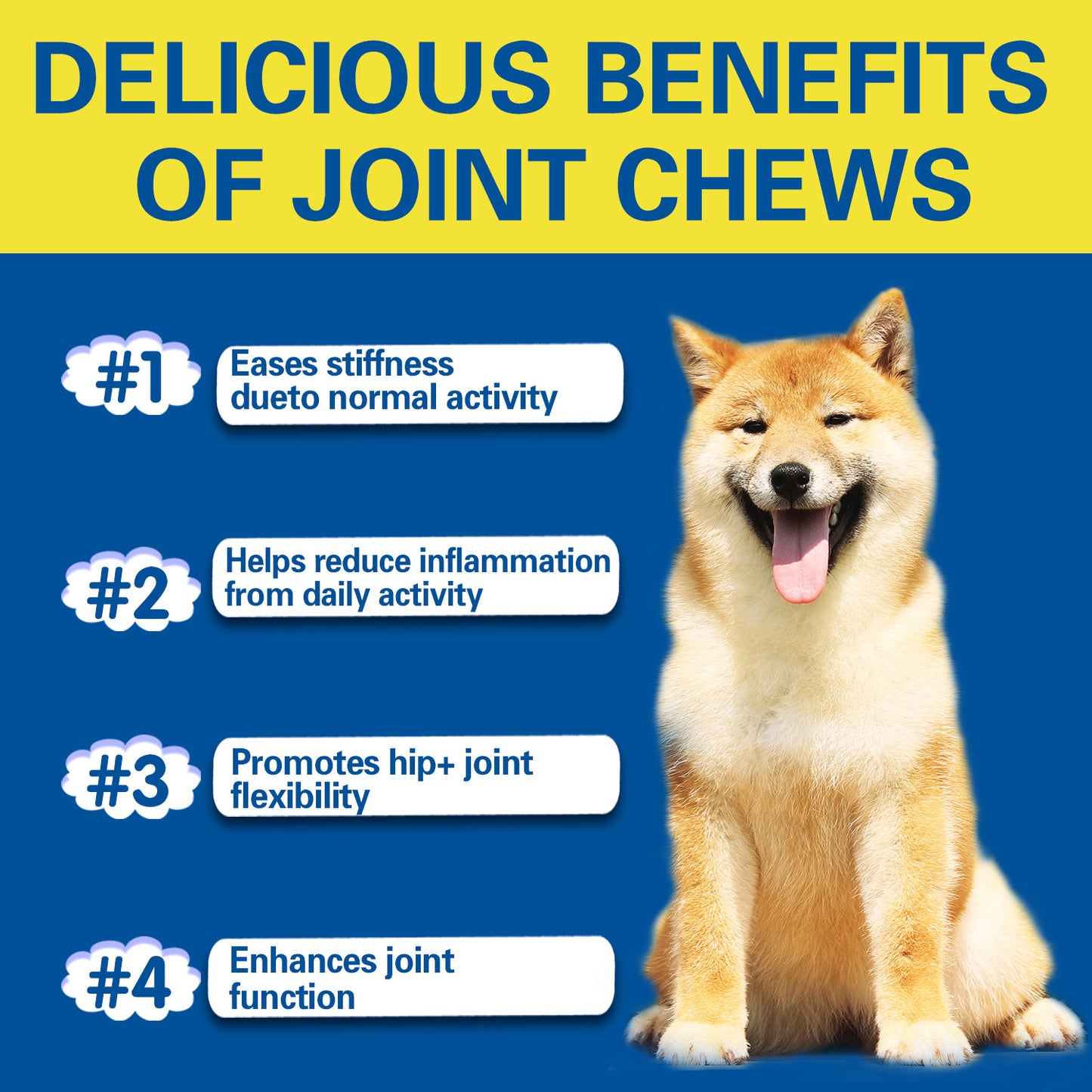 Hip Joint Supplement for Dogs
