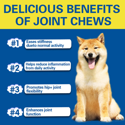 Hip Joint Supplement for Dogs