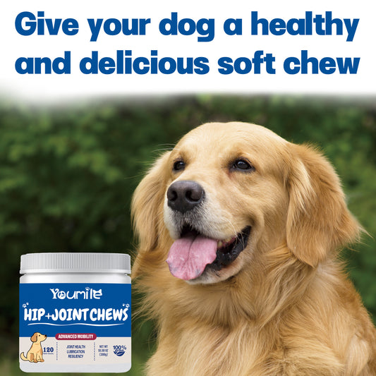 Hip Joint Supplement for Dogs