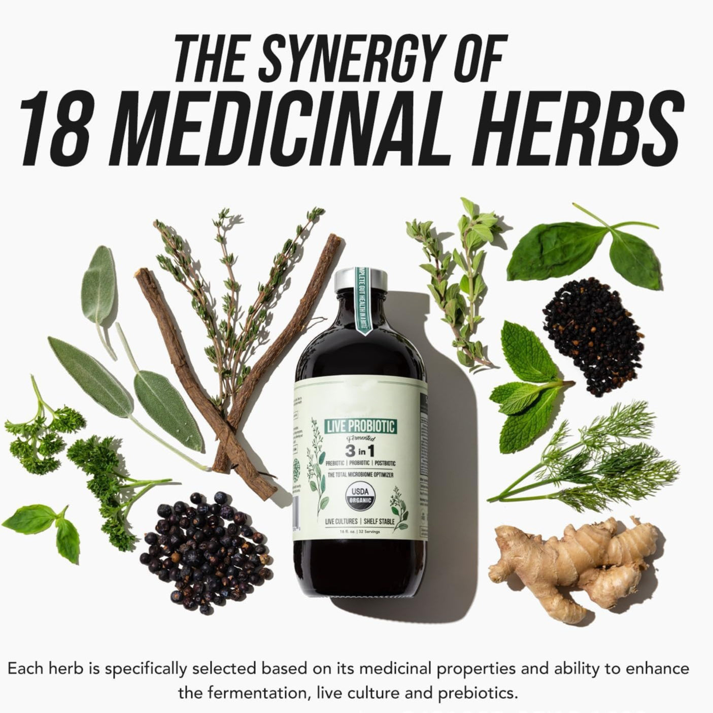 Active Probiotics Supplements