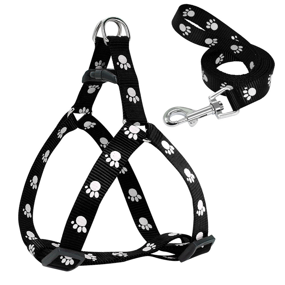 Printed dog leash - Pooch2Spoil