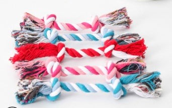 Dog Bites Rope Toy