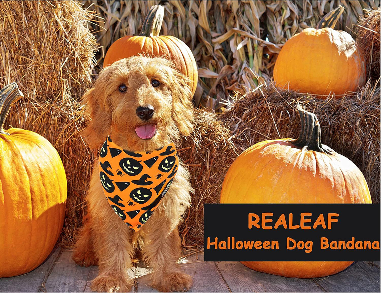 Halloween Dog Bandanas, Pumpkin And Spider Web Bibs Triangle Reversible Fall Dog Scarf