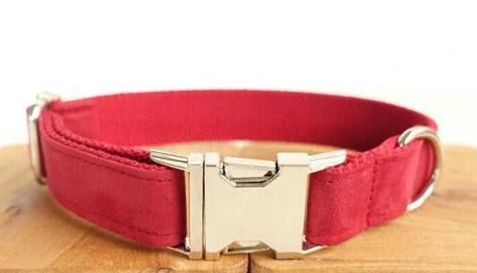 Pet Traction Dog Collar