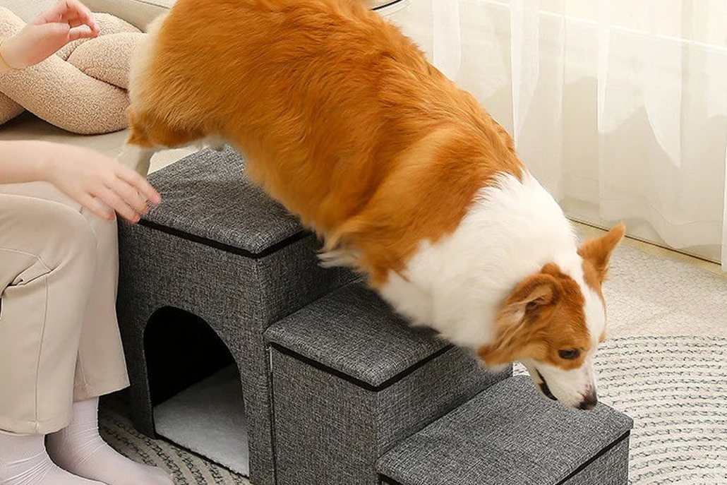 Foldable Dog Ladder Steps