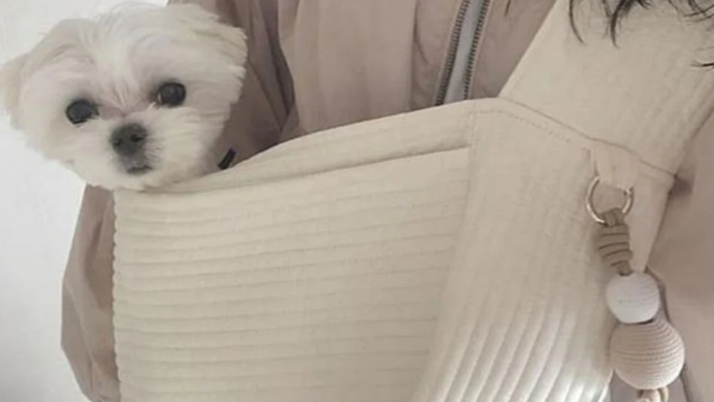 Small Dog Shoulder Carrier