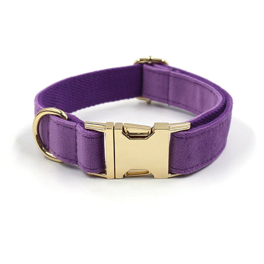 Purple Velvet Gold Buckle Lettering Dog Collar