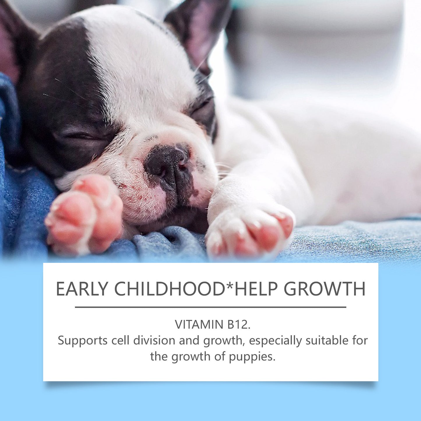 Multivitamin Tablet For Dogs