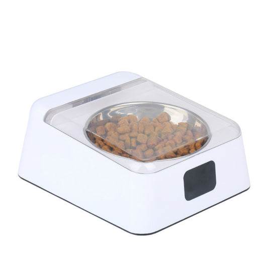 Automatic Switch Moisture-proof Smart Feeder Dog Bowl