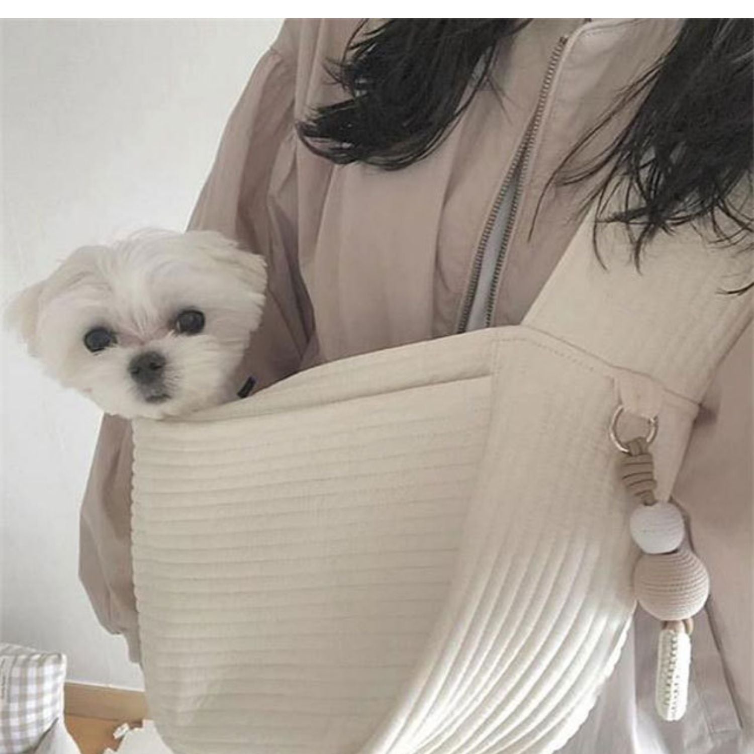 Small Dog Backpack Shoulder Bag