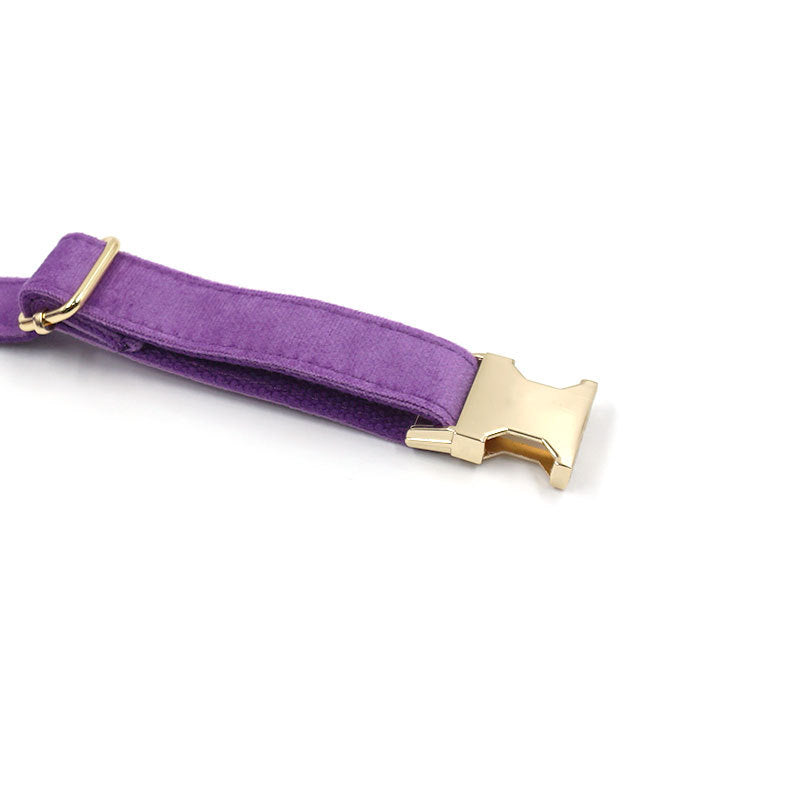 Purple Velvet Gold Buckle Lettering Dog Collar