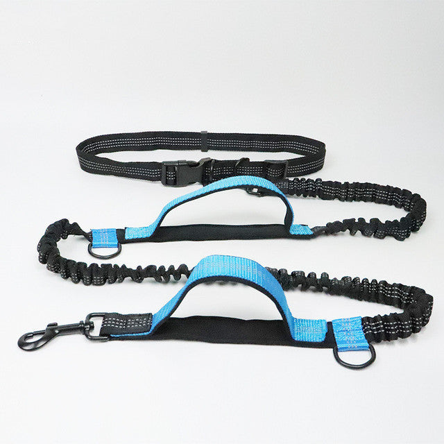 Harness Collar Jogging Adjustable Pet Leash - Pooch2Spoil