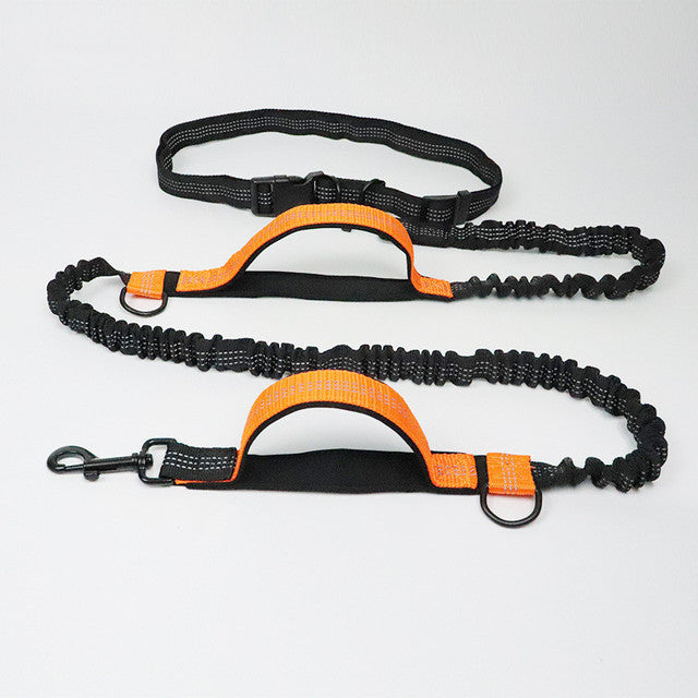 Harness Collar Jogging Adjustable Pet Leash - Pooch2Spoil