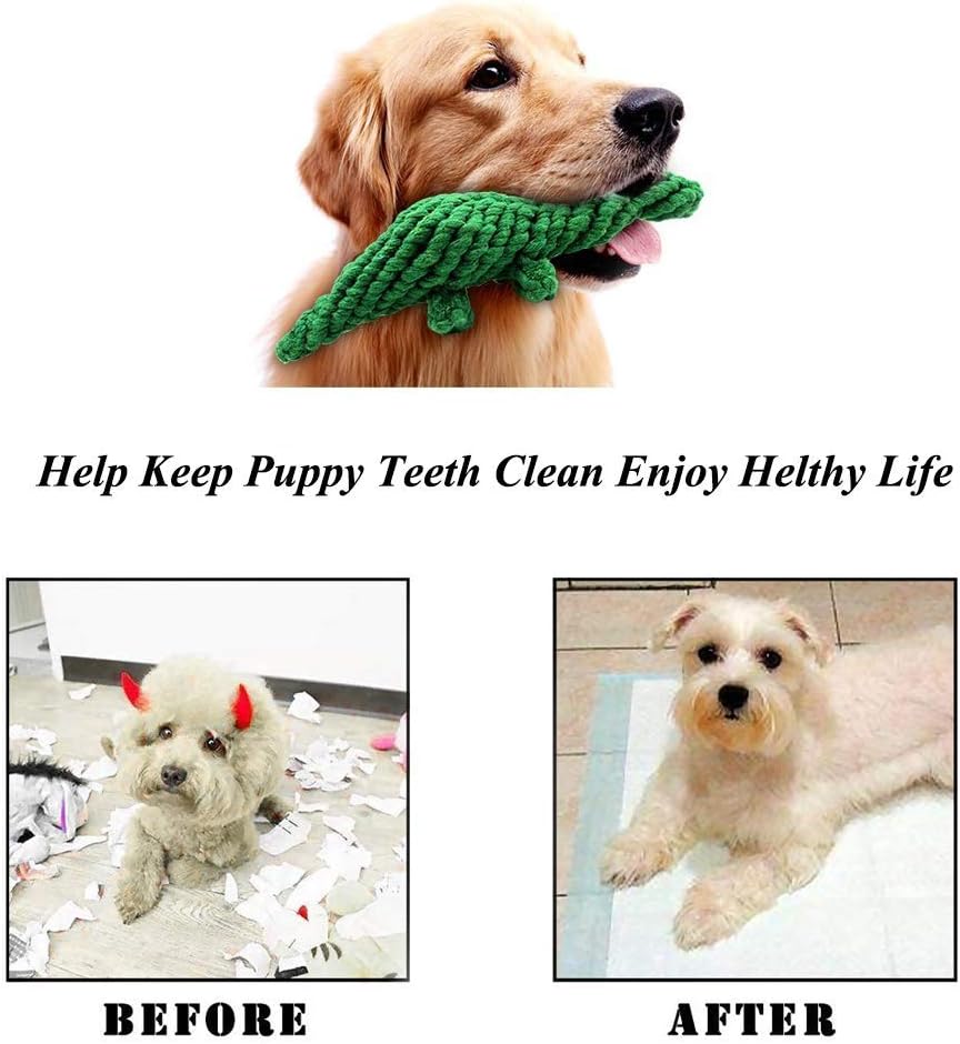 Interactive Dog Rope Toys