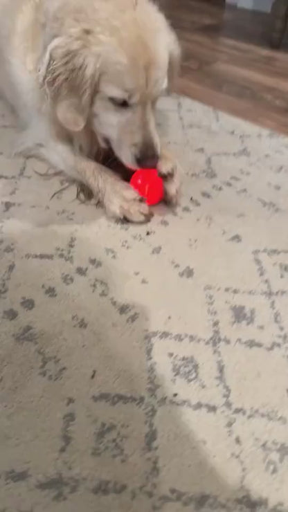 Electronic Smart Dog Toy Ball.mp4