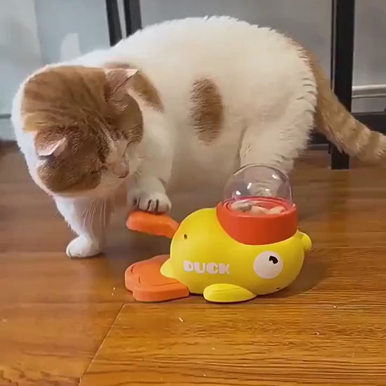 Duck-Shaped 2-in-1 Interactive Dog Slow Feeder